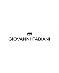 Giovanni Fabiani